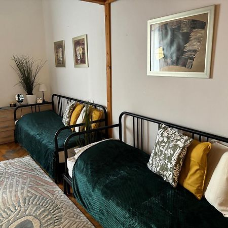 Central Apartment Next To The Elisabeth Bridge Budapesta Exterior foto
